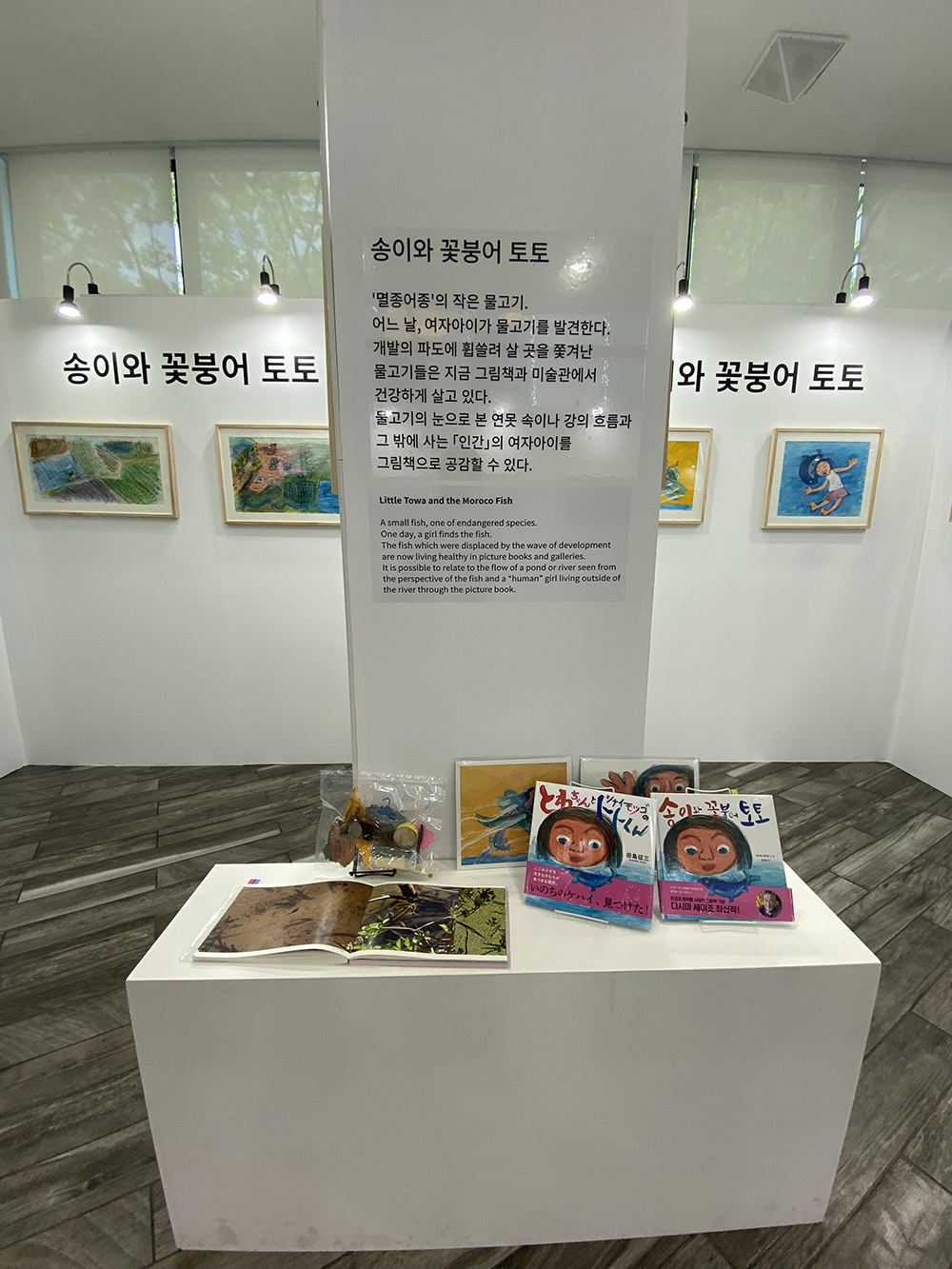 editor_image